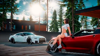 Drive Zone Online screenshot