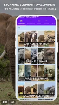 Elephant Wallpapers HD & 4K screenshot