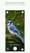 FaunaNote: Animal Scanner screenshot