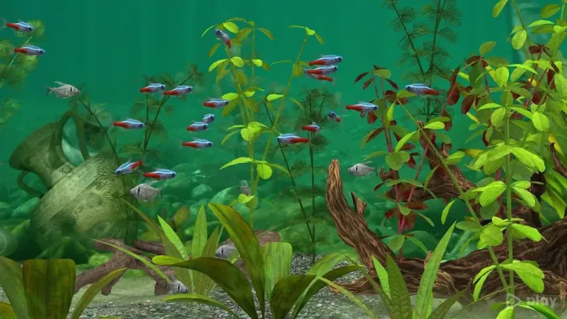Fish Farm 3 - 3D Aquarium Simulator screenshot 4