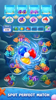 Fish Jam Fever screenshot