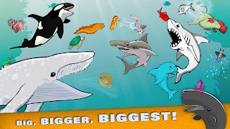 Fish Royale - Shark World Game screenshot
