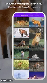 Fox Wallpapers HD & 4K screenshot