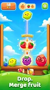 Fruit Merge Drop screenshot