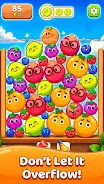 Fruit Merge Drop screenshot