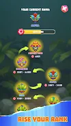 Funky Monkey screenshot