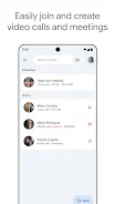 Google Meet screenshot