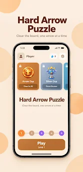Hard Arrow Puzzle screenshot