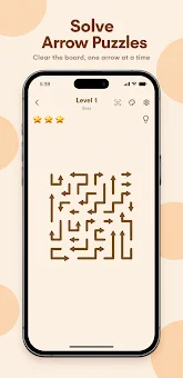 Hard Arrow Puzzle screenshot