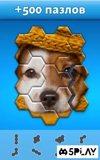 Hexa Jigsaw Puzzle ™ screenshot 3