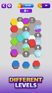Hexa Puzzle screenshot