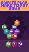 HexaZone 2048 screenshot