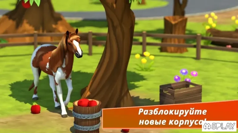 Horse Hotel - Уход за лошадьми 1.8.1.152 screenshot 2