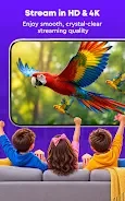 IPTV Online Player: Live TV screenshot