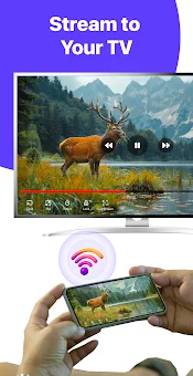 IPTV PLAYER & Smart TV screenshot