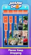 Jigsaw Drop: Solitaire Puzzle screenshot