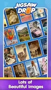 Jigsaw Drop: Solitaire Puzzle screenshot