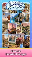 Jigsaw Gravity:SolitairePuzzle screenshot