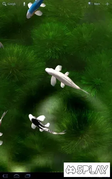 Koi Live Wallpaper screenshot 3