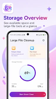 Large File Cleanup screenshot