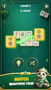 Mahjong Master Panda screenshot