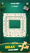 Mahjong Master Panda screenshot