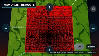 Maze67 screenshot
