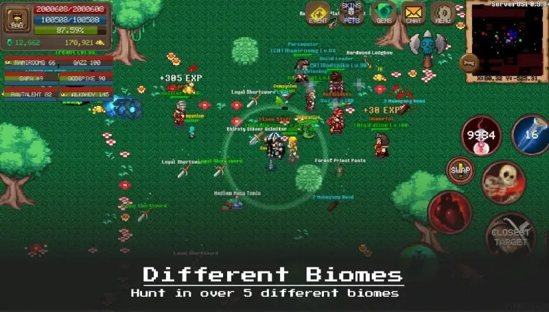 MMORPG Laurum Online - RPG - Pixel MMO - PVP 1.5.1.hf1 screenshot 4