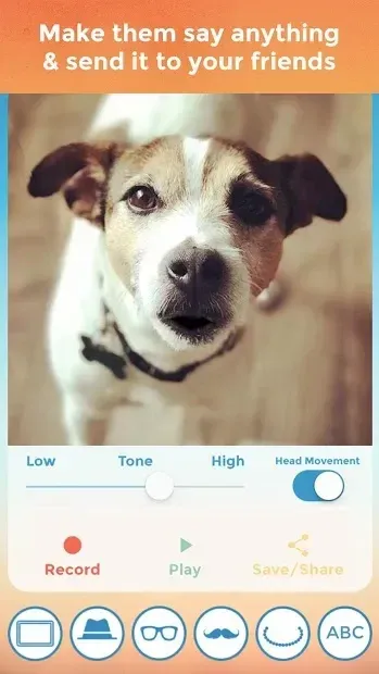 My Talking Pet screenshot 2