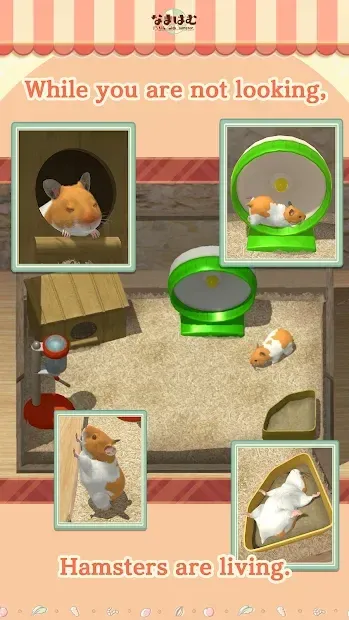 Namaham 5.0.2 screenshot 4