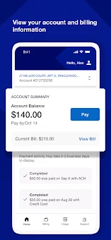 National Grid screenshot
