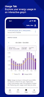 National Grid screenshot