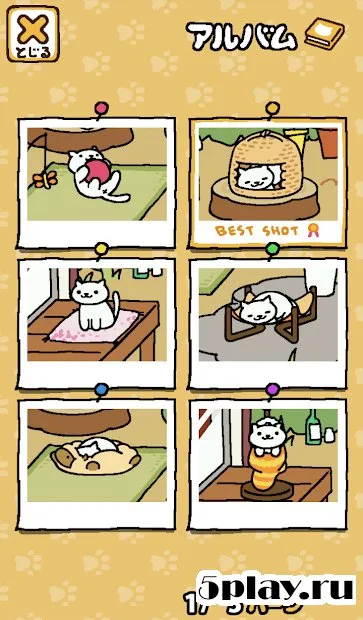 Neko Atsume: Kitty Collector screenshot 3