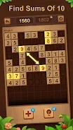 Number Match 10: Garden Puzzle screenshot