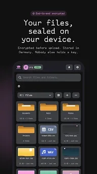 PigCloud: Encrypted Storage screenshot