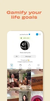 Pipp screenshot