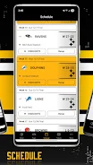 Pittsburgh Steelers screenshot