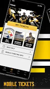 Pittsburgh Steelers screenshot