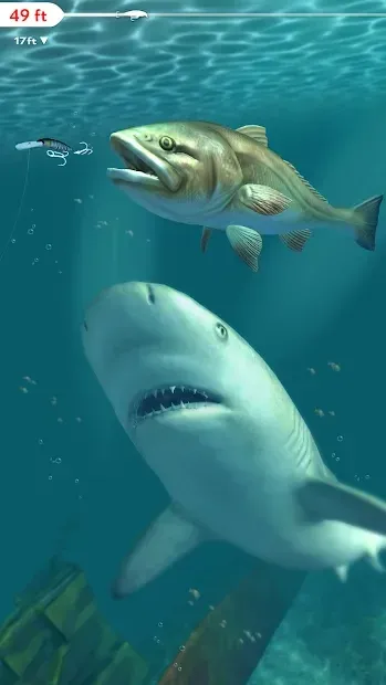 Rapala Fishing - Daily Catch screenshot 1