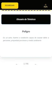 RigPro screenshot