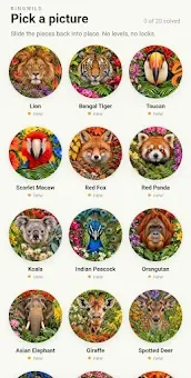 Ringwild: Circle Slide Puzzle screenshot