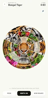 Ringwild: Circle Slide Puzzle screenshot