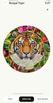 Ringwild: Circle Slide Puzzle screenshot