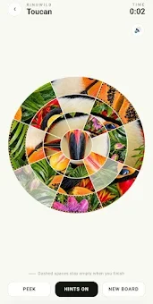 Ringwild: Circle Slide Puzzle screenshot