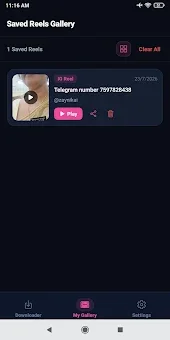 SaveIG Reel Downloader screenshot