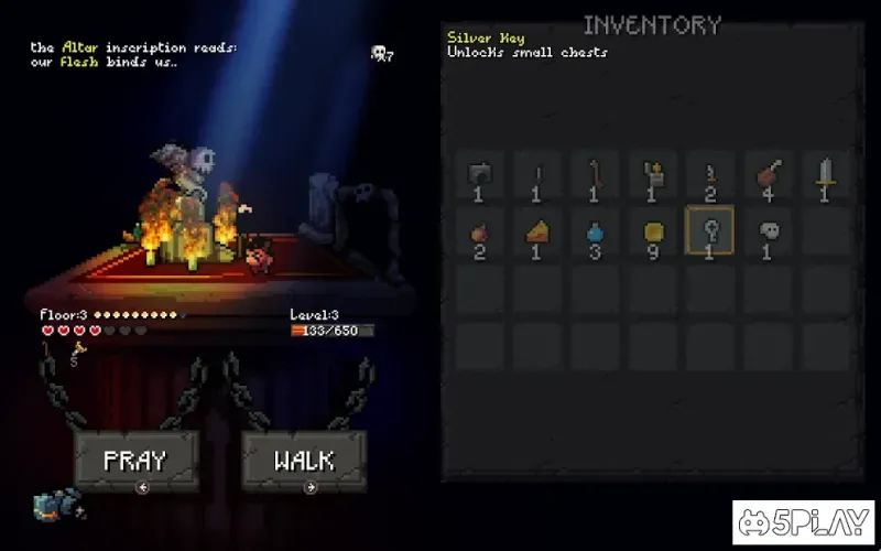 Sir Questionnaire screenshot 3