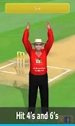 Smashing Cricket screenshot