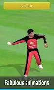 Smashing Cricket screenshot