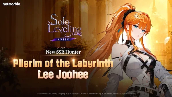 Solo Leveling:Arise screenshot