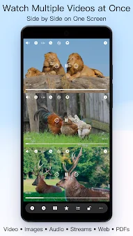 Split Screen Player: 36 Videos screenshot